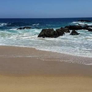 Meet your Posher, Paul